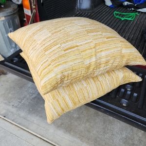 Pillow Set of 2 Feather filled pillows with removable covers